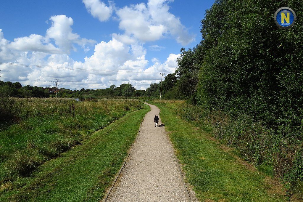 Janey on the road to nowhere.