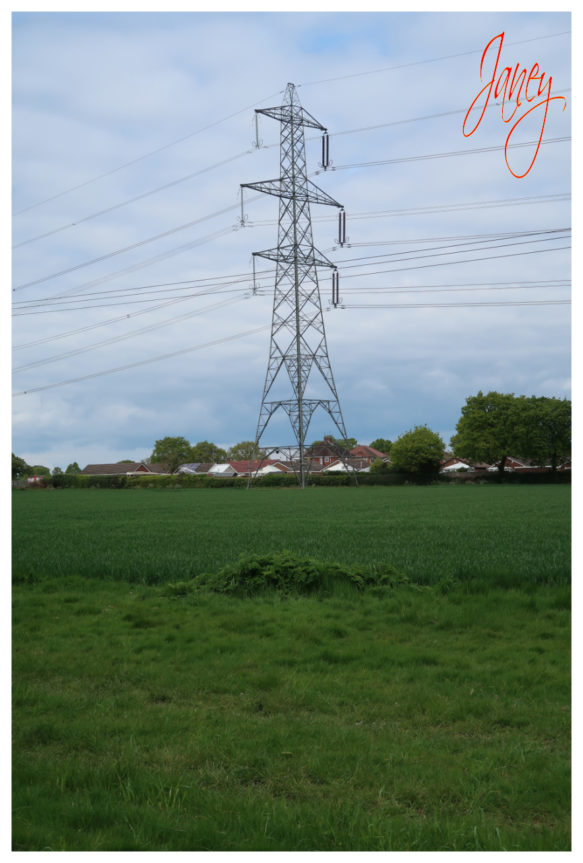 Pylon in the field with a suspicious bump in the foreground.