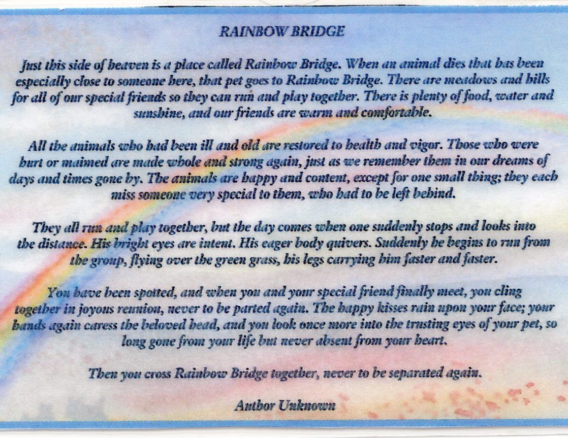 Rainbow Bridge.