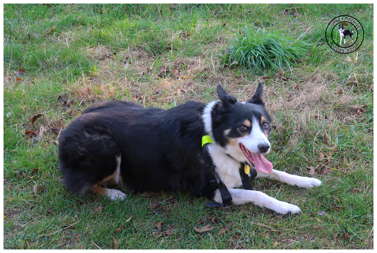 Janey with her TongueOutTuesday example.