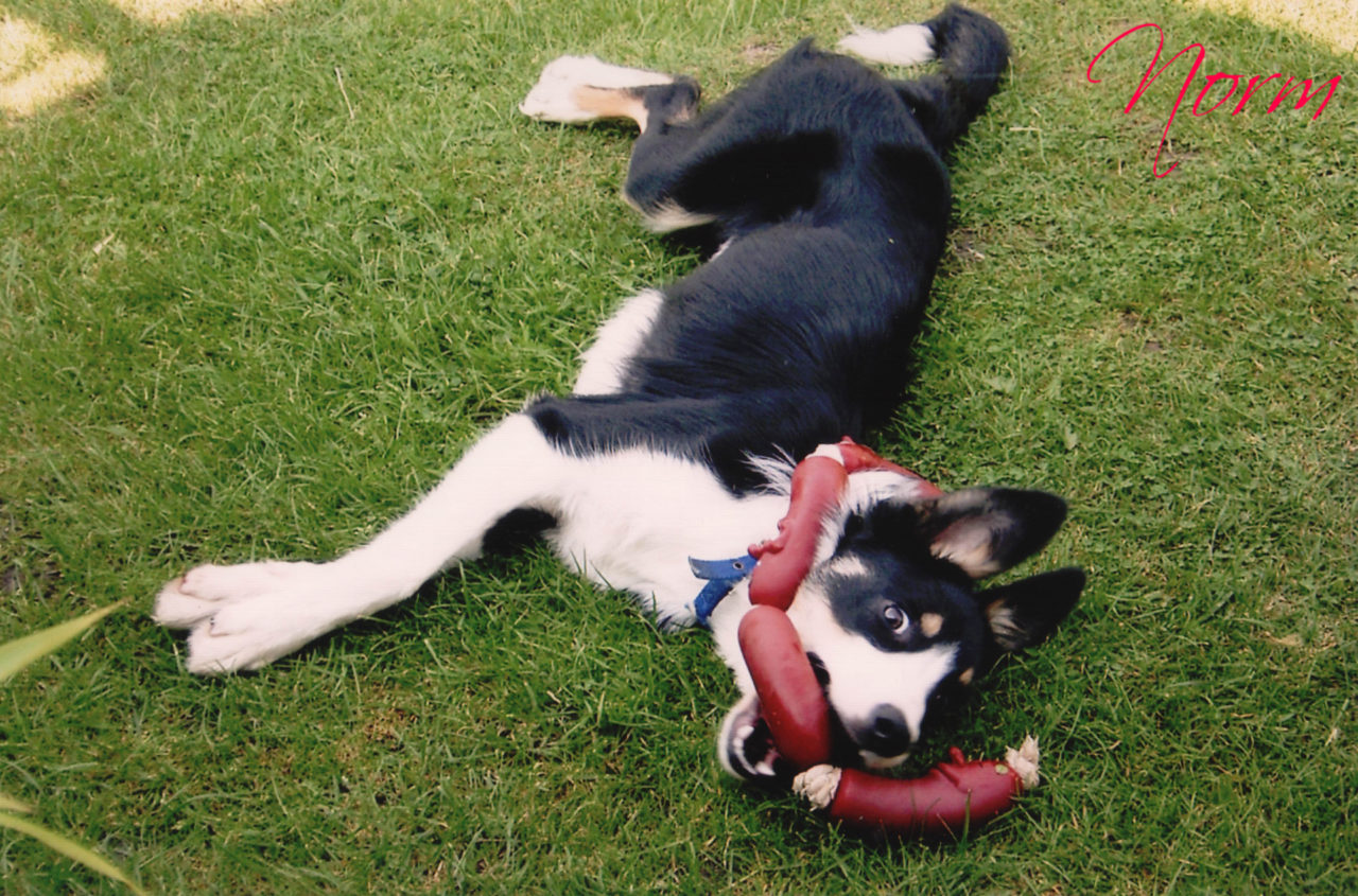 Janey and a string of sausages.