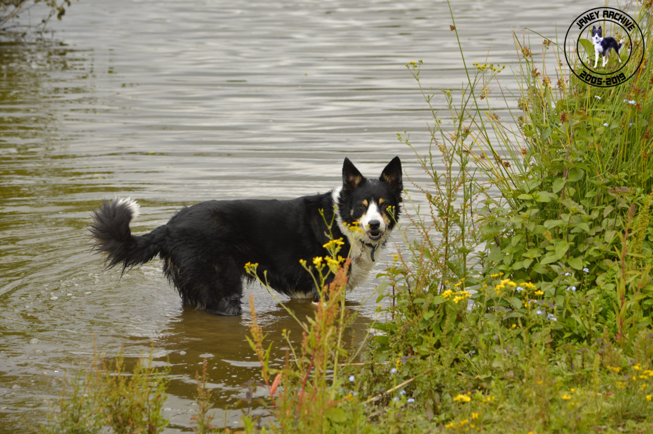 Janey standing in the water