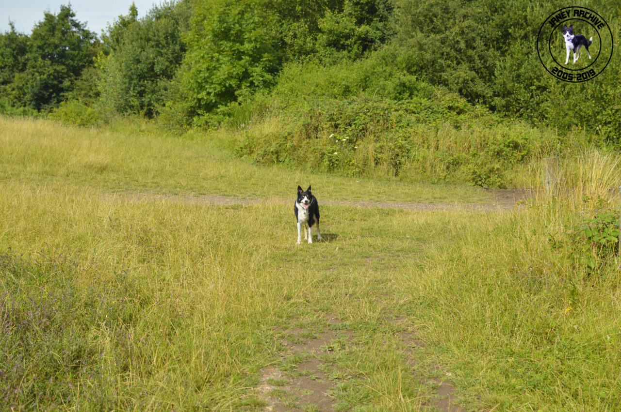 Janey waiting for me at the quarry entrance